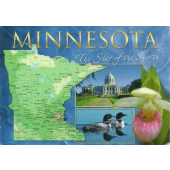 Pharmacy technician employment and salary trends, and career opportunities in Minnesota