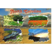 Requirements to become a pharmacy technician in North Carolina