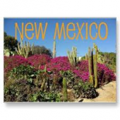 Pharmacy technician employment and salary trends, and career opportunities in New Mexico