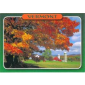 Requirements to become a pharmacy technician in Vermont