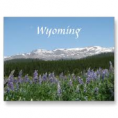 Wyoming pharmacy technician training programs