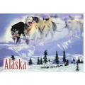 Requirements to become a pharmacy technician in Alaska
