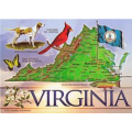 Requirements to become a pharmacy technician in Virginia
